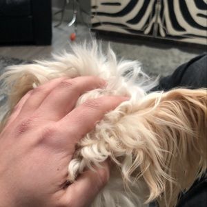 Meet your Posher, Nicholas